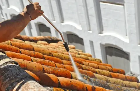 Nettoyage de toitures - Garrigues-Sainte-Eulalie